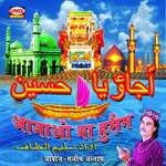 Aa Jaao Ya Hussian - Saleem Altaf Song Download